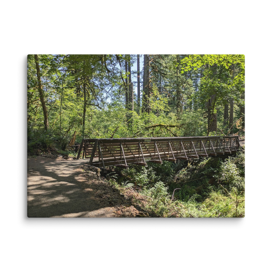 oregon_trail_bridge-art_studio_elvira-canvas-_in_-24x32